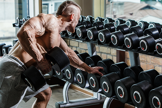 Building Up Your Back & Biceps... And Doing It The Wise Way!