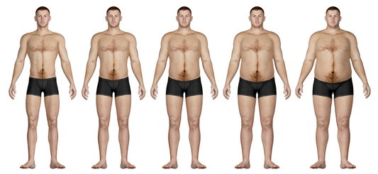 Ectomorph, Endomorph, Mesomorph… Adjusting Your Training To Match Your Body Type