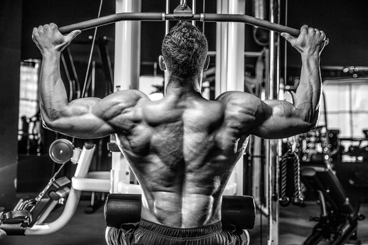 Continuous Tension Training With Cable-Only Back Workouts!