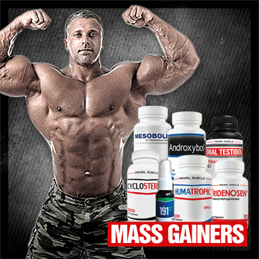 Mass Gainers – Primal Muscle