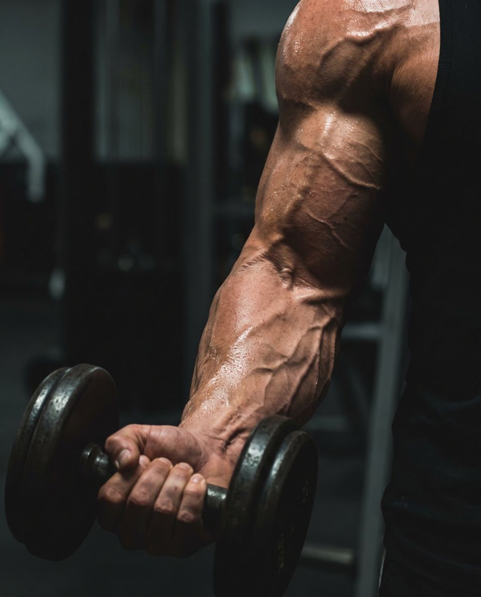 Veiny arm grinding the last rep of a barbell curl
