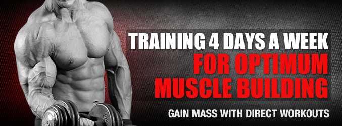 Training 4 Days A Week For Optimum Muscle Building