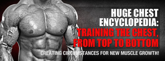 HUGE Chest Encyclopedia: Training the Chest, From Top to Bottom