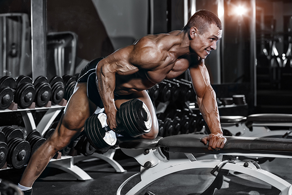 Strength Rows Rows For Strength & Size - Your Complete Guide! – Primal Muscle