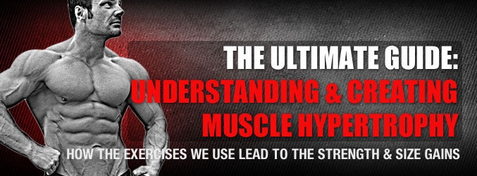 The Ultimate Guide: Understanding & Creating Muscle Hypertrophy