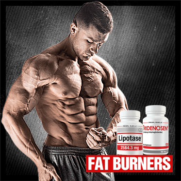 FAT BURNERS