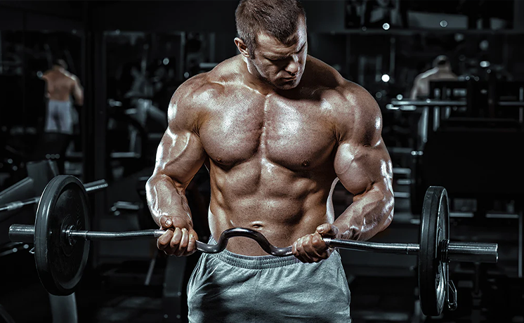 The Complete Guide To Shocking Mass Gains
